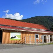 Stalltrakt - Friesenpferde Lungau