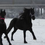 rachel und janny koppel.JPG