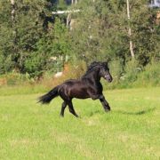 IMG_4652.JPG