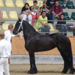 P1000255 - Kopie.JPG