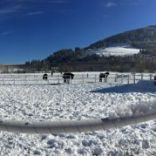 1798966_10203619024416204_9211065476473146863_o (1).jpg