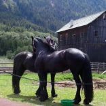 20140604_124512-1 - Kopie.jpg