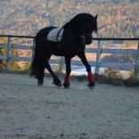 DSC_0382 - Kopie.JPG